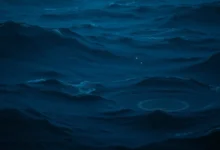 image 1277