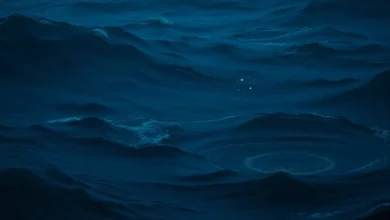 image 1277