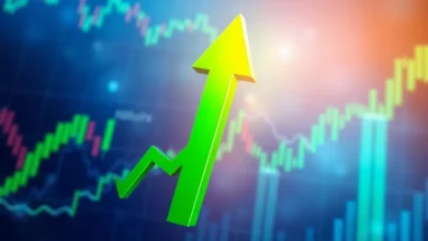 *سیگنال خرید* بزرگ برای اقتصاد ایران؟ ارزیابی معاون اتاق تعاون از برنامههای وزیر پیشنهادی 8 image 339